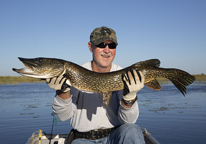 Man holding a master angler northern pike