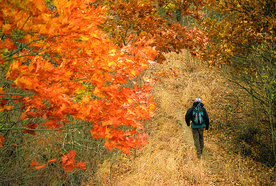 A man hiking amidst autumn color at Indian Cave State Park.
