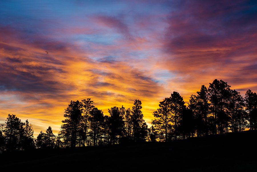 Colorful orange and purple sunset above ponderosa pines and bluffs.
