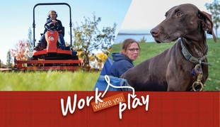 Image of woman driving lawn mower and playing with dog