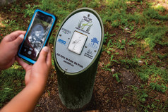 Person using the Great Park Pursuit app at a post