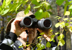 Senior woman uses binoculars to peer through leaves