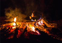 Closeup of a campfire