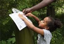 Girl making a rubbing at a Great Park Pursuit post