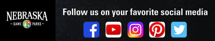 Ad: Follow us on social media