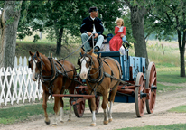 Reenactor driving a horse-drawn wagon at Fort Hartsuff