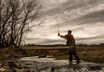 Man fly fishing