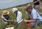 Educators in a prairie workshop