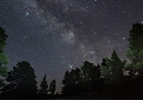 View of Milky Way and trees