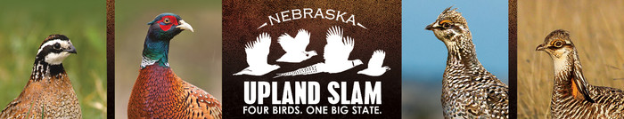 Graphic of upland bird species and text "Upland Slam"