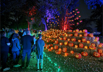 A display of jack-o'-lanterns and onlookers