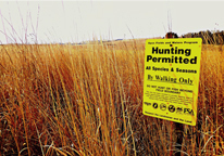 "Hunting permitted" sign in field