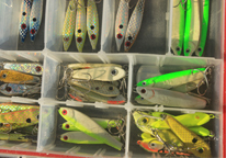 Tackle box with different kinds of lures