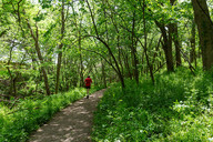 Hiker on wooded trail at Schramm Park State Recreation Area