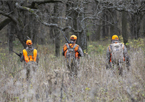 Deer hunters in the field