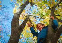 Boy climbing tree in autumn