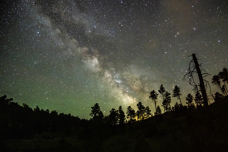 Milky Way above ponderosa pines at Chadron State Park