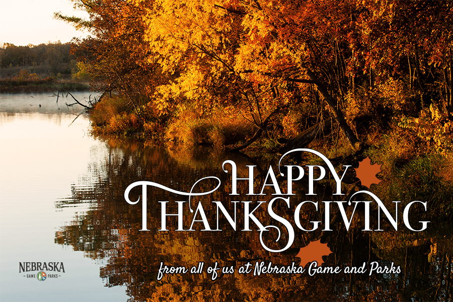 Fall trees over water with text: "Happy Thanksgiving from all of us at Nebraska Game and Parks"