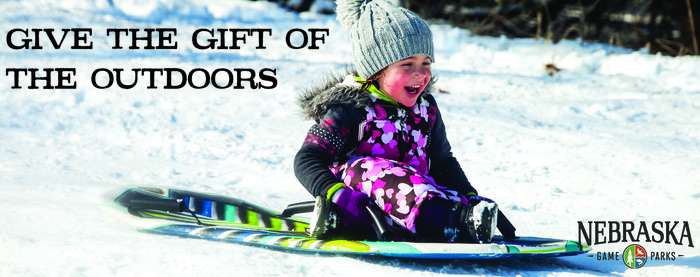 Girl sledding 