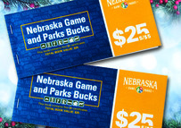 Game and Parks Bucks on wintry background