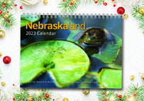 Calendar cover on holiday background