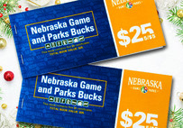 Game and Parks Bucks on holiday background