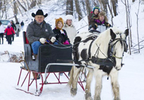 People riding a horse-drawn sleigh