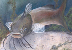 Artwork of a fish