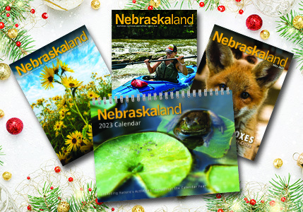 Nebraskaland covers and calendar on holiday background