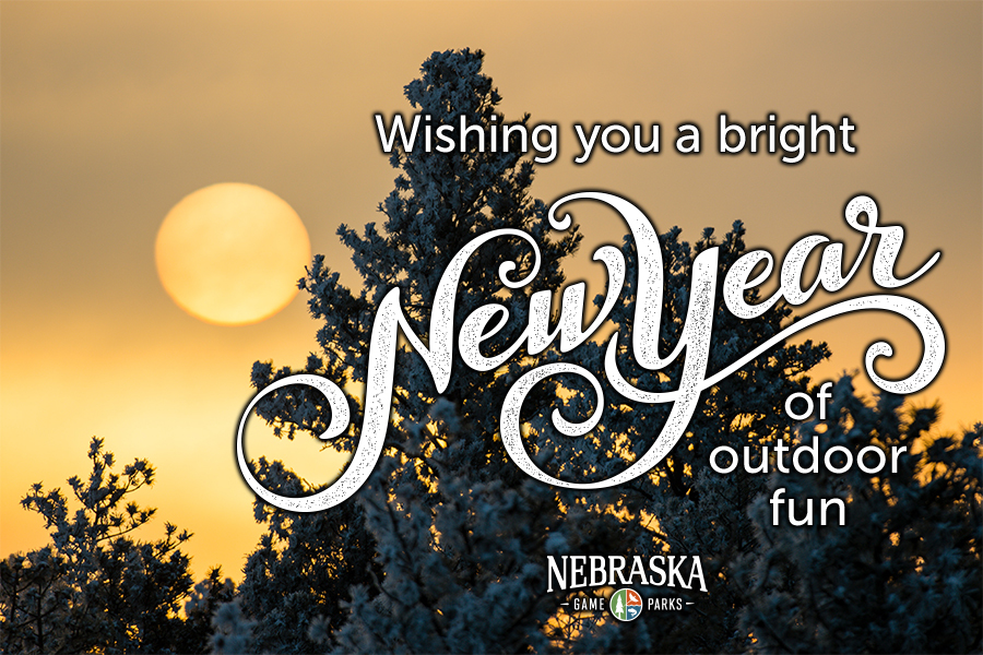 Setting sun behind trees with text, "Wishing you a bright New Year of outdoor fun"