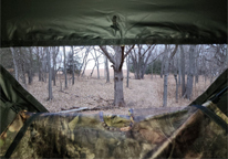 The view from an elevated deer blind