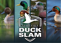 Duck Slam logo