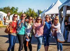 Group of friends holding up wine glasses at Sip Nebraska