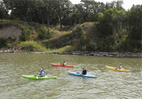 People kayaking