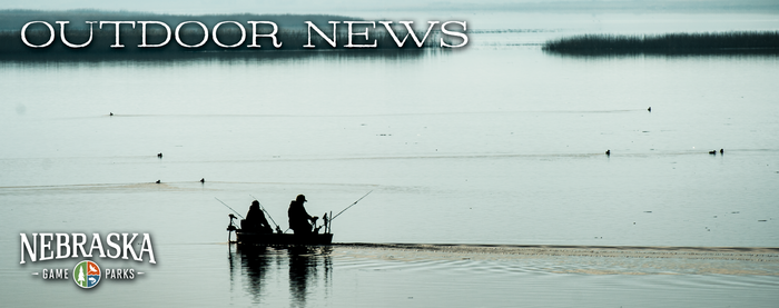 Fishing boats on the water