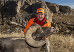 Hunter with harvested bighorn sheep