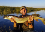 Angler holding a master angler-sized northern pike