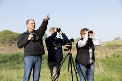 Three birders using binoculars