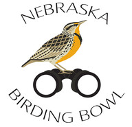 Birding Bowl logo