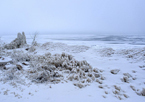 Lake covered in snow