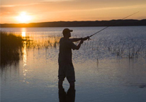 Man fishing at sunset