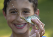 Boy holding up a bluegill