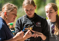 Bioblitz participants looking at a find