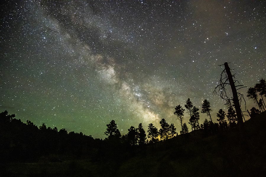 Milky Way over silhouettes of trees at Chadron State Park