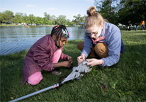 Bioblitz particpants looking at what they caught in a net