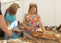 Girl looking at display of animal hides