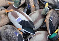 A pile of duck decoys