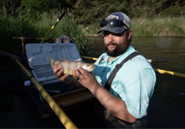 Fisheries biologist holding up a brown trout