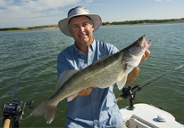 Angler holding a large walleye