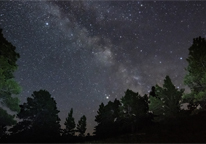 Milky Way over trees at state park